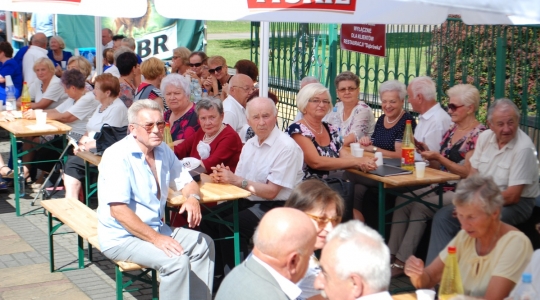 Zdjęcie 4 - XX Wojewódzki Festyn SENIOR FEST im. Jerzego Piwnickiego