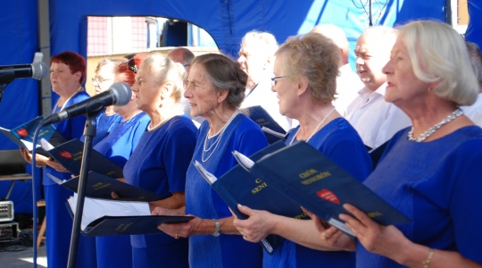 Zdjęcie 15 - XX Wojewódzki Festyn SENIOR FEST im. Jerzego Piwnickiego