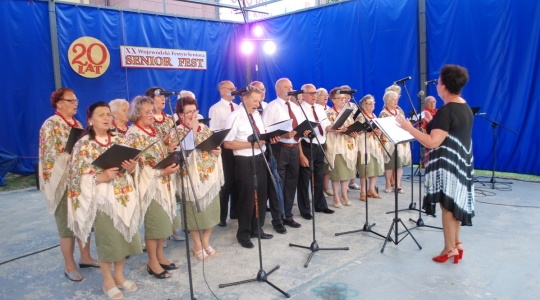 Zdjęcie 28 - XX Wojewódzki Festyn SENIOR FEST im. Jerzego Piwnickiego