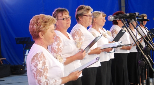 Zdjęcie 33 - XX Wojewódzki Festyn SENIOR FEST im. Jerzego Piwnickiego