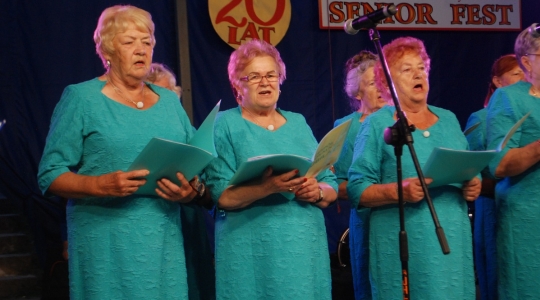 Zdjęcie 39 - XX Wojewódzki Festyn SENIOR FEST im. Jerzego Piwnickiego