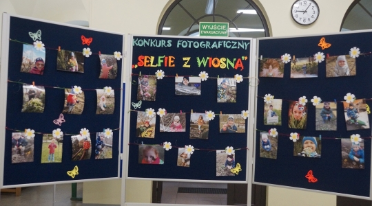 Zdjęcie 3 - Przedszkolaki z  Przedszkola Nr 7  witają wiosnę
