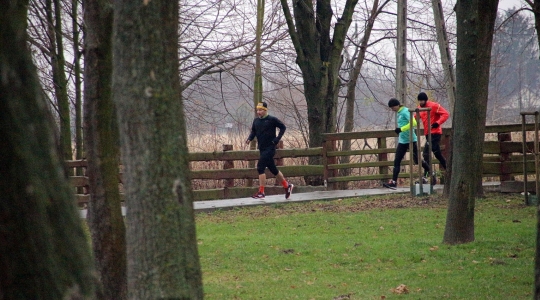 Zdjęcie 19 - Parkrun 23.11.2019
