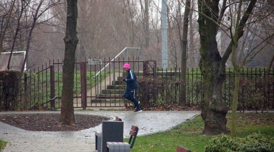 Zdjęcie 40 - Parkrun 23.11.2019