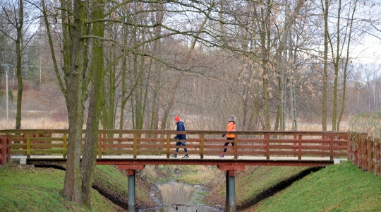 Zdjęcie 11 - Ponad 20 uczestników ostatniego parkrunu