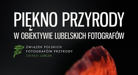 Zdjęcie - Wystawa fotograficzna - Piękno przyrody