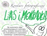 Zdjęcie - Konkurs fotograficzny „Las i mokradła”