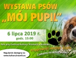 Zdjęcie - Weź pupila na wystawę