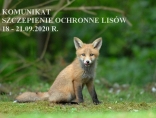 Zdjęcie - Szczepienia ochronne lisów