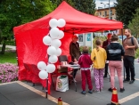 Zdjęcie - Miejska profilaktyka przeciw uzależnieniom