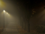 Zdjęcie - Ostrzeżenie meteorologiczne o gęstych mgłach