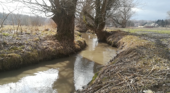 Zdjęcie - Operacja czysta rzeka w Kraśniku