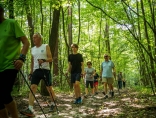 Zdjęcie - I Kraśnicki Rajd Nordic Walking za nami