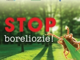 Zdjęcie - STOP boreliozie!