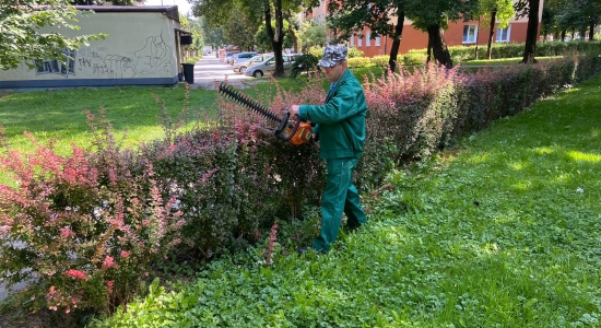 Zdjęcie - Prace porządkowe na terenie Kraśnika