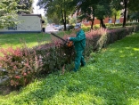 Zdjęcie - Prace porządkowe na terenie Kraśnika