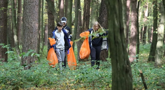 Zdjęcie - Część lasu przy dzielnicy fabrycznej Kraśnika wysprzątana