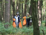 Zdjęcie - Część lasu przy dzielnicy fabrycznej Kraśnika wysprzątana