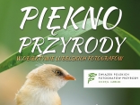 Zdjęcie - Piękno przyrody w obiektywie lubelskich fotografów