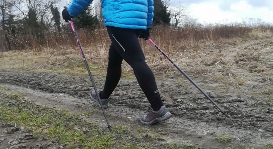 Zdjęcie - Zapraszamy na zajęcia nordic walking