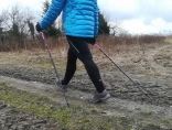 Zdjęcie - Zapraszamy na zajęcia nordic walking