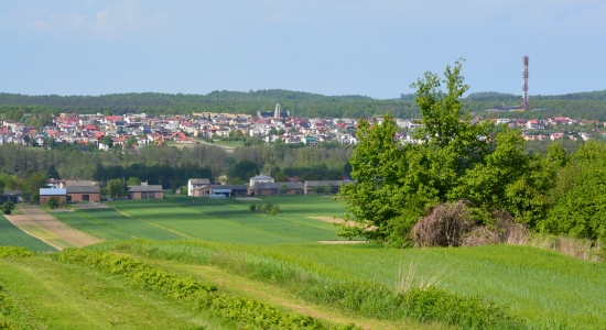 Zdjęcie - Szczepionka przeciwko wściekliźnie na polach i w l...