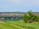 Zdjęcie - Szczepionka przeciwko wściekliźnie na polach i w l...