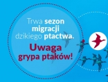 Zdjęcie - Uwaga, grypa ptaków!