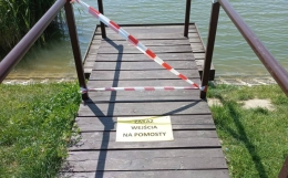 Ptasia grypa na terenie miasta i okolicznych gmin