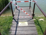 Ptasia grypa na terenie miasta i okolicznych gmin