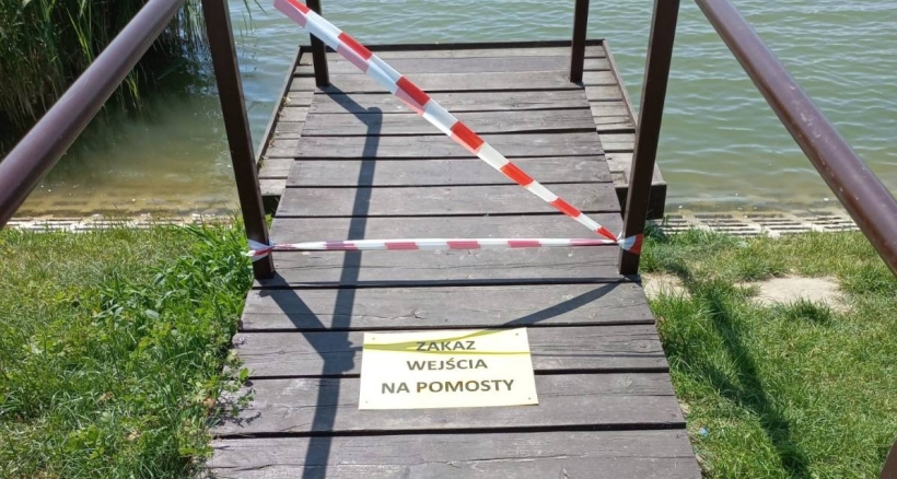 Ptasia grypa na terenie miasta i okolicznych gmin