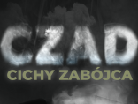 Zdjęcie - Zainstaluj czujnik czadu i gazu - zmniejsz ryzyko...