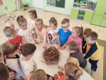 Zdjęcie - Dzieci z ZPO nr 2 poznają ptasie tajemnice