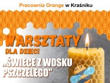 Zdjęcie - Warsztaty pszczelarskie na Światowy Dzień Pszczół
