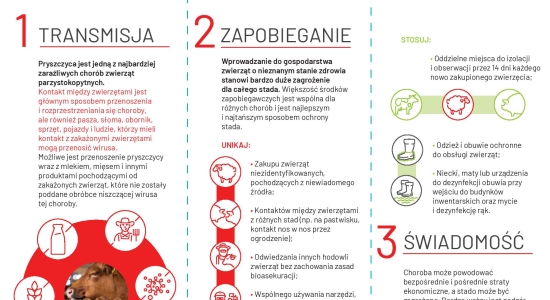 Zdjęcie - Co trzeba wiedzieć o pryszczycy