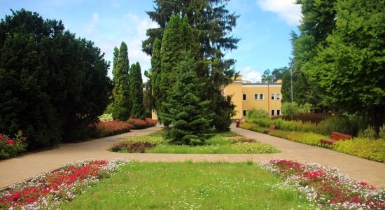 Zdjęcie - Harmonogram koszenia trawników na terenach miejskich 15-26 maja