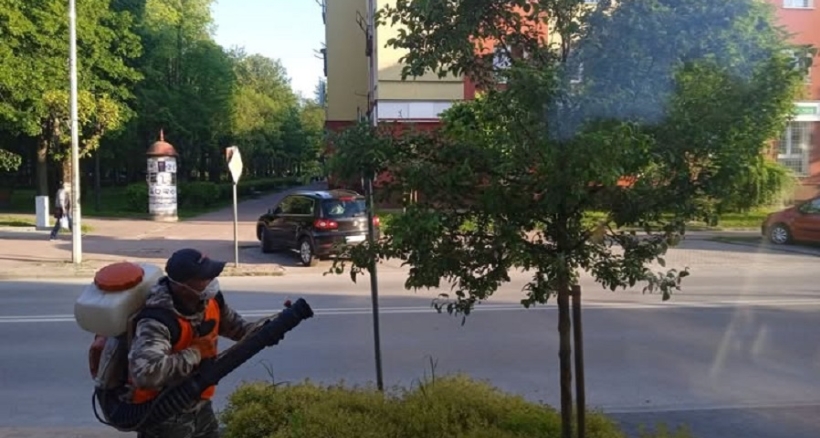 Zdjęcie - Uwaga: planowane opryski jabłoni przy Al. Niepodle...