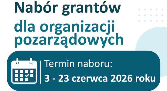 Zdjęcie - Nabór grantów dla organizacji pozarządowych